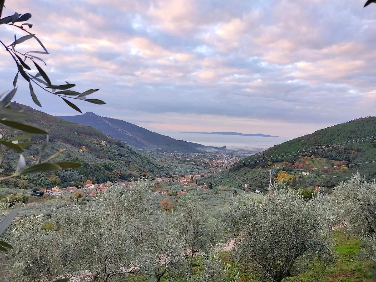 Dom wakacyjny Olive House Tuscany - Zona Pisa Calci Włochy